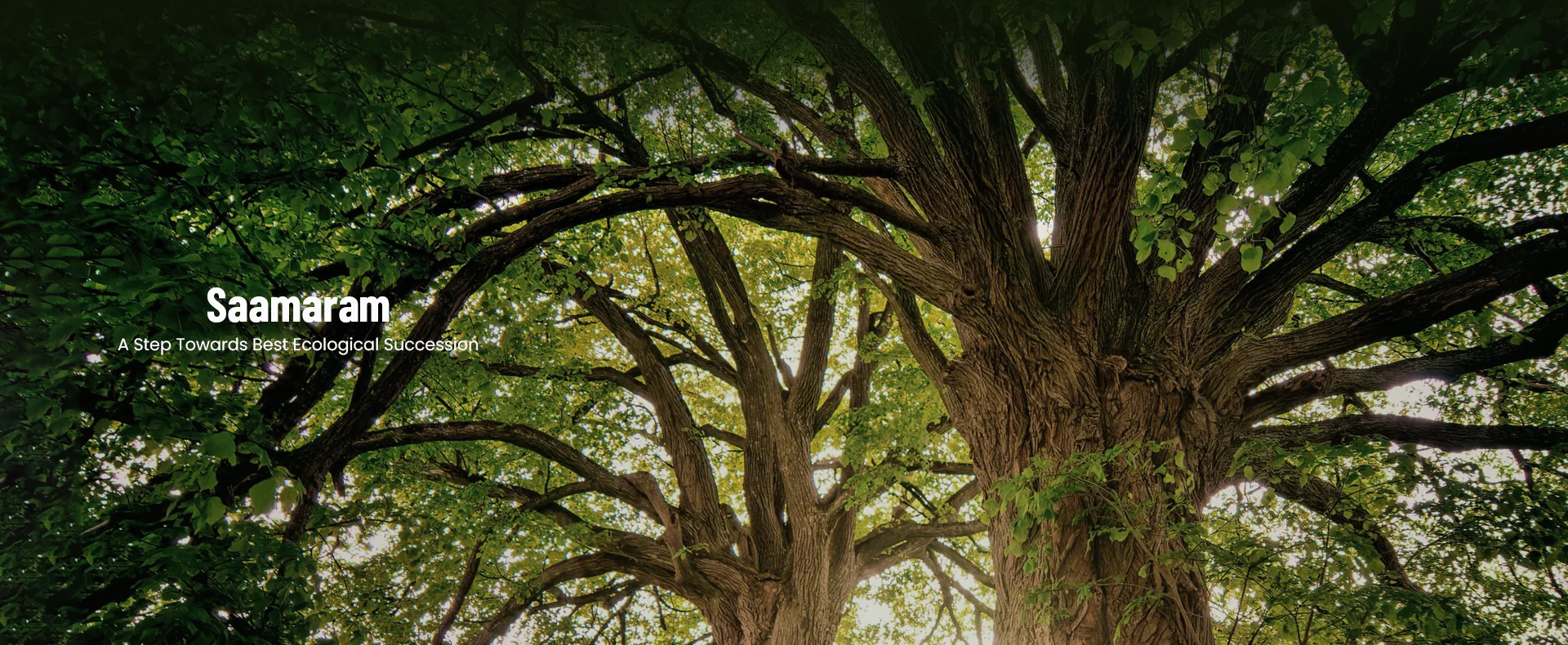 Saamaram - A Step Towards Best Ecological Succession